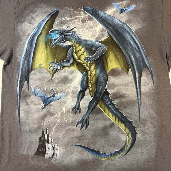 Retro DOM Life of Dragons Graphic T-Shirt Women’s M Gray Dragon Tee - Picture 5 of 7